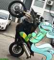 lyra dando grau