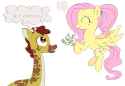 fluttershy giraffe