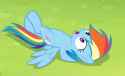 Dash surprised chill