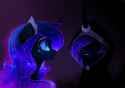 luna hooded reflection
