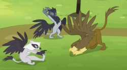 530097__safe_animated_screencap_griffon_rainbow+falls_spoiler-colon-s04e10_loop_stretching_irma_gaston