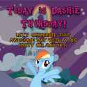 Dashie_Thursday_2