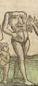 Blemmyes_-_Cosmographiae_uniuersalis_1550_(87683009)