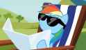 dashie sunbathing