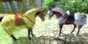 oblivion-horse-armor-dlc