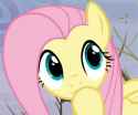 flutterthink