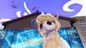 Snapshot_11201_367