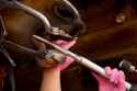 horse dental rasp