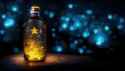 Bottle_6