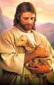 Shepherd_web[1]