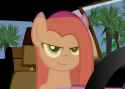pinkie supreme gentlemare