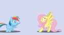 Rainbow Rizz