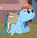 Very sad Dash