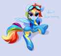 RainbowDash_cat_WonderboltsSuit
