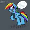 Dash braces nerd