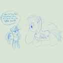 SHEDOE~1