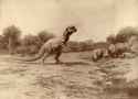 t rex and triceratopses