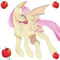 3770246__safe_artist-colon-bambii3lue_fluttershy_bat+pony_pegasus_pony_g4_apple_bat+ponified_flutterbat_food_race+swap_simple+background_solo_white+background.jpg