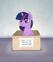 cute_pony_box_twi.png
