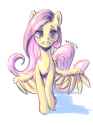 3514948__safe_artist-colon-brymcha_fluttershy_pegasus_pony_g4_female_looking+at+you_mare_simple+background_smiling_smiling+at+you_solo_spread+wings_walking_whit.jpg
