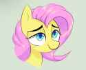 3499279__safe_artist-colon-boneappleteeth_fluttershy_pegasus_pony_g4_bust_portrait_solo.jpg