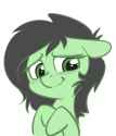 1271554__safe_artist-colon-duop-dash-qoub_oc_oc+only_oc-colon-filly+anon_earth+pony_pony_adoranon_blushing_cute_female_filly_floppy+ears_hooves+to+the+chest_shy.png