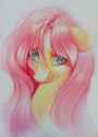 3456565__safe_artist-colon-mayajust_fluttershy_pegasus_pony_g4_bust_cute_female_floppy+ears_high+res_looking+at+you_looking+up_looking+up+at+you_mare_portrait_s.jpg