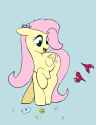 3448633__safe_artist-colon-marrsund_fluttershy_bird_pegasus_g4_flower_flower+in+hair_raised+hoof_smiling.png