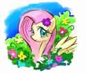 3439590__safe_artist-colon-_fluttershy_pegasus_pony_g4_female_grass_mare_simple+background_sky_solo_spread+wings_white+background_wings.jpg