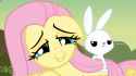 367252__safe_screencap_angel+bunny_fluttershy_hurricane+fluttershy.png