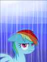 Dash Rain Sad.png