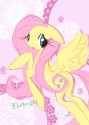 3431582__safe_artist-colon-tinkerdolly_fluttershy_pegasus_pony_g4_anatomically+incorrect_female_incorrect+leg+anatomy_skinny_solo_thin.jpg
