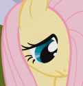 1.16 MB