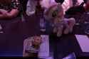 1.63 MB