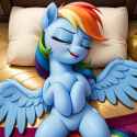 1.23 MB