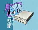 737 KB