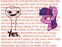 321 KB