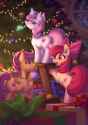 2.8 MB