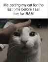 31 KB