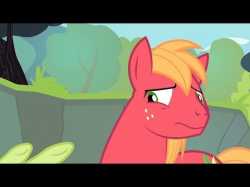 21 KB