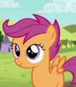 2.27 MB