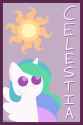 251 KB