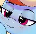 153 KB