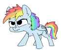 19 KB