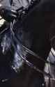 15 KB