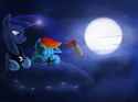 1.04 MB