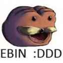 8 KB