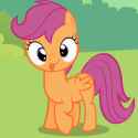 84 KB