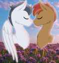 329 KB
