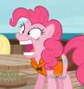 504 KB
